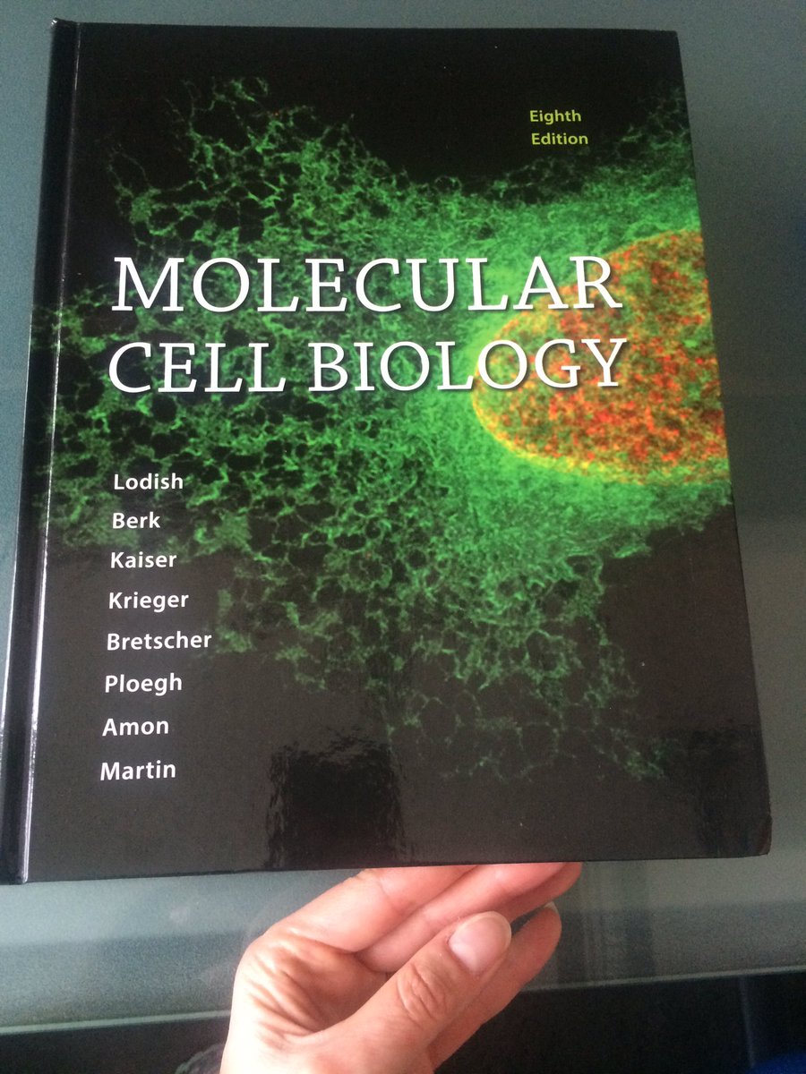 Molecular cell biology by lodish